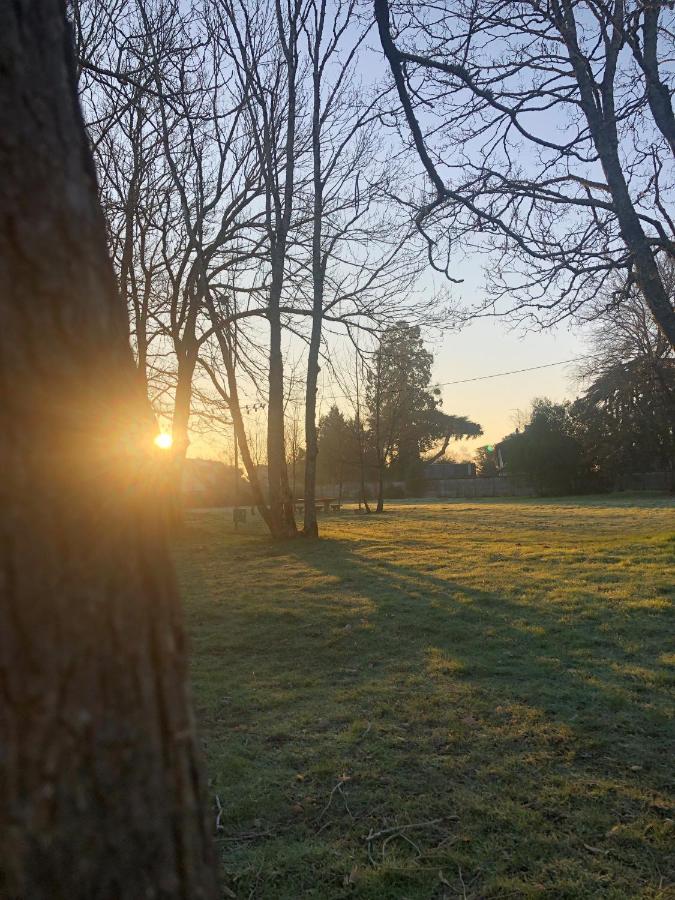 Auberge De Jeunesse Hi Poitiers Eksteriør billede